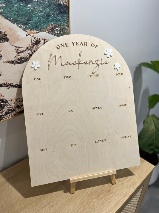 Daisy First Year Milestone Photo Board