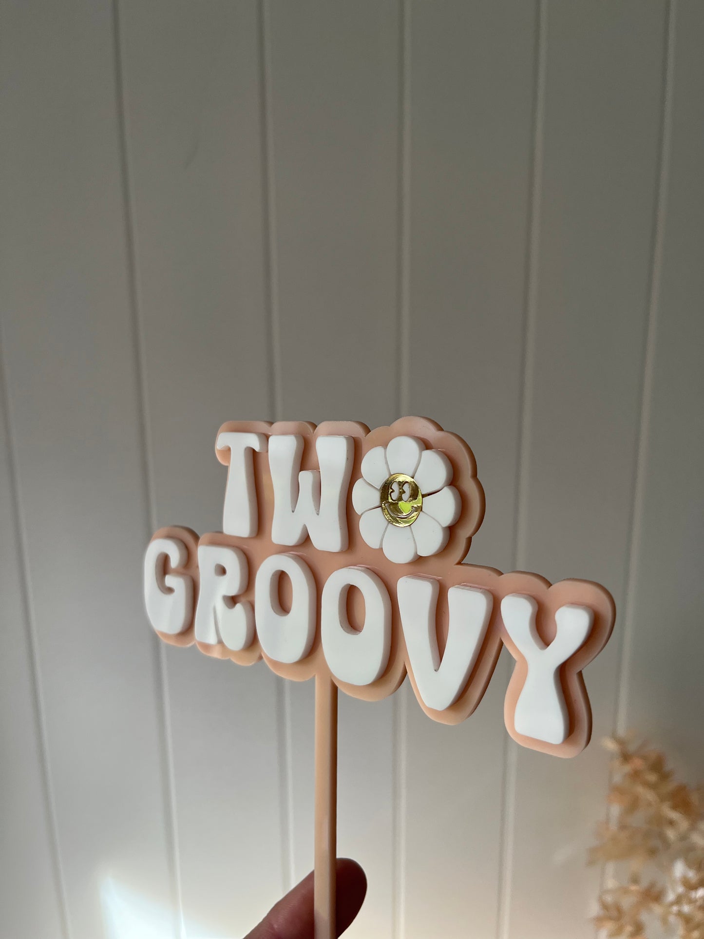 Two Groovy Cake Topper