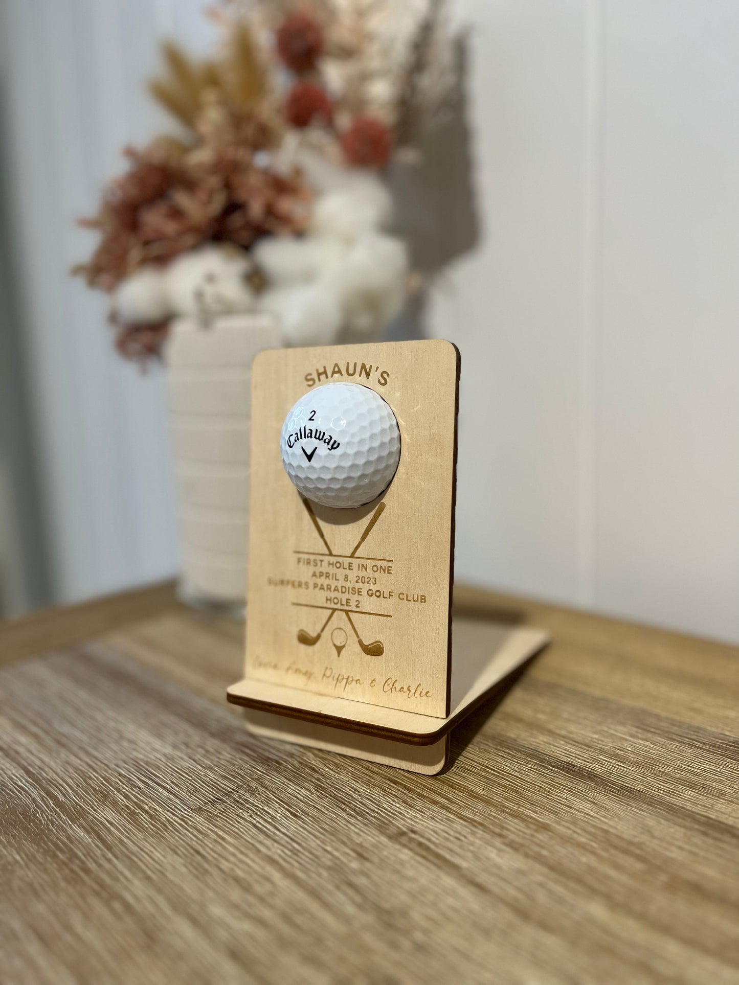 Hole In One Golf Ball Holder